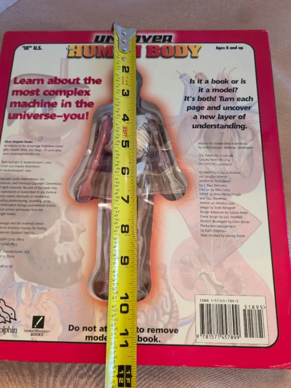 BOOK UNCOVER THE HUMAN BODY 2002 by LUANN COLUMBO